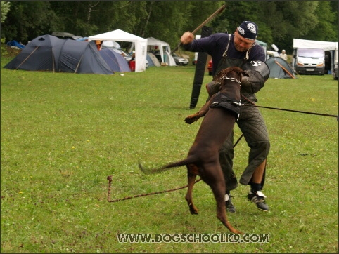 Training camp - Lukova 2007